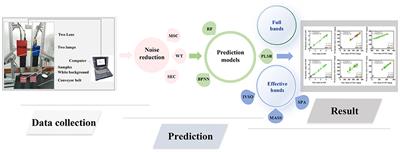 Prediction of chemical indicators for quality of Zanthoxylum spices from multi-regions using hyperspectral imaging combined with chemometrics